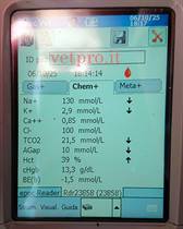 Paresi metabolica al 6° mese gravidanza (Frisona)