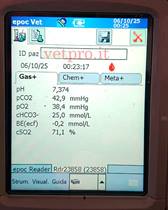 Paresi metabolica al 6° mese gravidanza (Frisona)