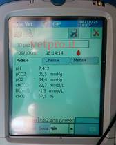 Paresi metabolica al 6° mese gravidanza (Frisona)