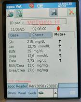 Caso clinico 13: una paresi anomala