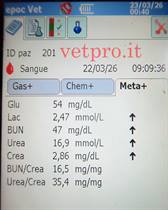 Una paresi post-parto refrattaria ai trattamenti