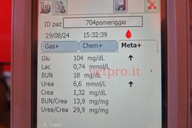 Paresi metabolica alla messa in asciutta