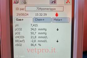 Paresi metabolica alla messa in asciutta