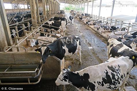 How can we assess productivity on dairy farms?