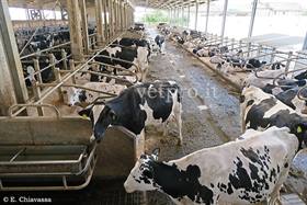 Static analysis of milk production